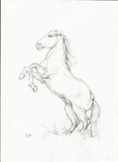 Horse Rearing Sketch at PaintingValley.com | Explore collection of ...