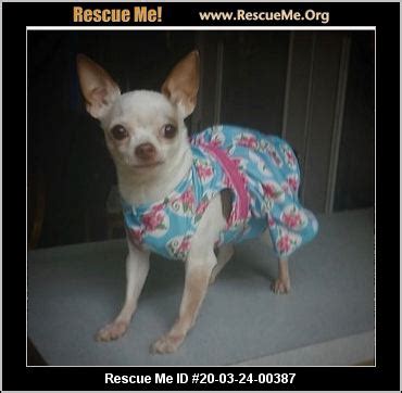 - Ohio Dog Rescue - ADOPTIONS - Rescue Me!