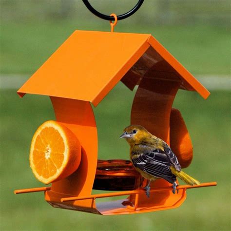 Buy the Metal House Oriole Feeder at duncraft.com. 100% Satisfaction Guaranteed at your Wild ...