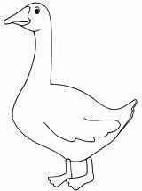 Goose Coloring Page sketch template