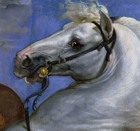 Tumblr | Horses, Tiger hunting, Rubens