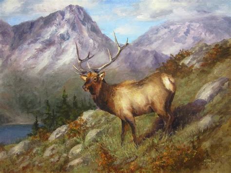 Pin on Wildlife Paintings