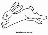 transmissionpress Bunny Rabbit Jumping Coloring Pages sketch template