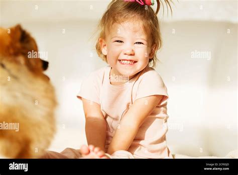 laughing Little girl. Portrait of beautiful baby girl playing with pomeranian dog Stock Photo ...