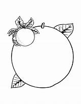 Orange Coloring Pages – Printable Coloring Pages FREE sketch template