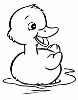 Duck Coloring Pages  Best For Kids sketch template