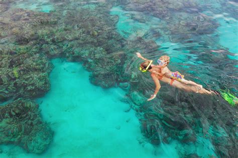 Your Guide to Maui Snorkeling | My Perfect Stays