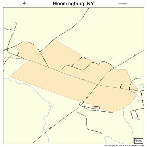 Bloomingburg New York Street Map 3606959