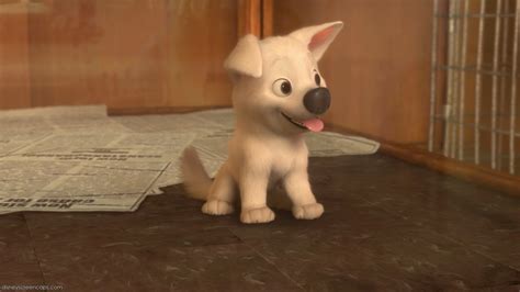 Which Disney Dog Are You? | Disney dogs, Disney quiz, Disney, dreamworks