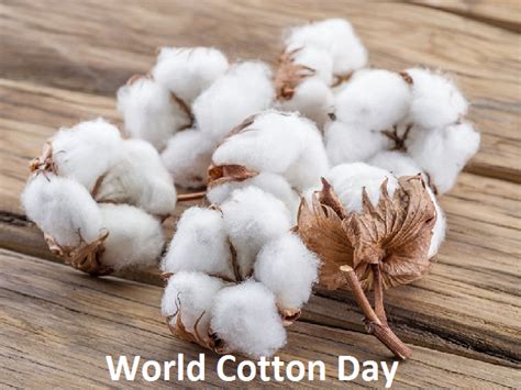 World Cotton Day 2021: Date, Theme, History, Significance, and Event