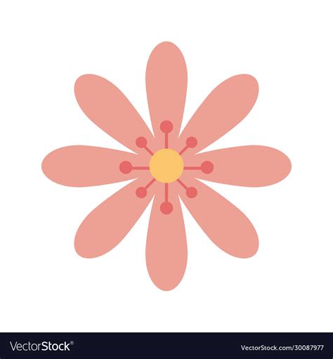 Cute flower pink color isolated icon Royalty Free Vector