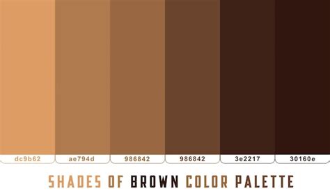 Premium Vector | Free vector brown color shades
