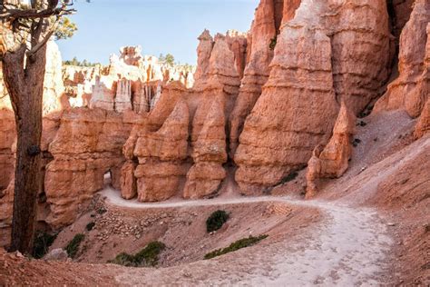 Bryce Canyon Hiking - Earth Trekkers