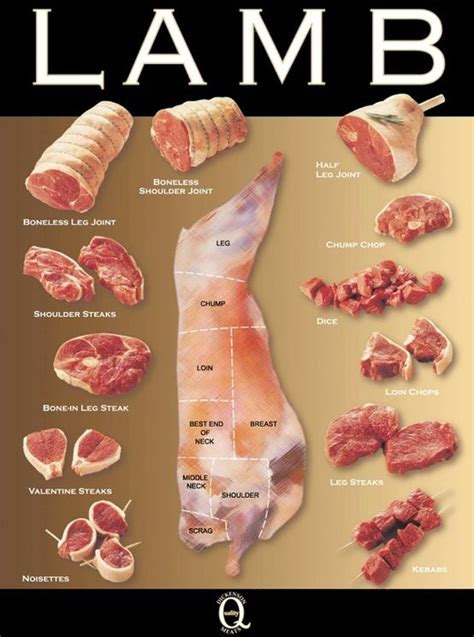 Sheep Meat Cuts Diagram