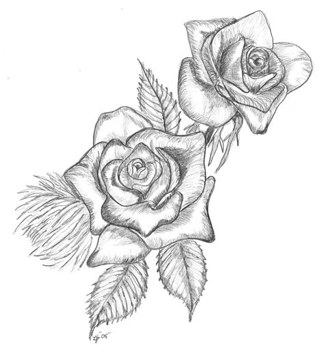 Free Drawings Of Roses, Download Free Drawings Of Roses png images ...