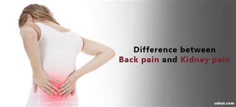 9 Major Differences Between Back Pain and Kidney Pain