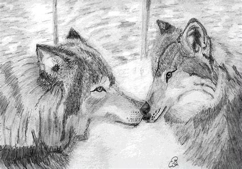 Wolves Love Drawing by Gail Schmiedlin - Fine Art America