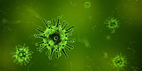 Microbes 101: Viruses. Viruses represent the most microscopic… | by Tangled Bank Studios | I ...