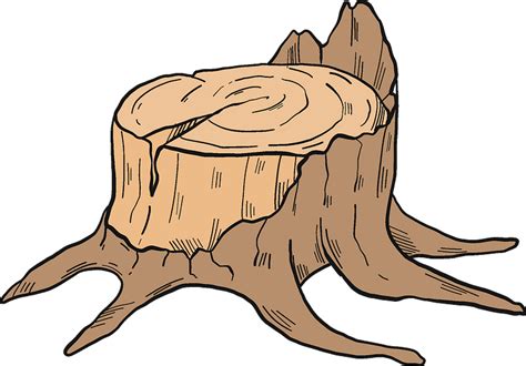 Tree stump clipart. Free download transparent .PNG | Creazilla