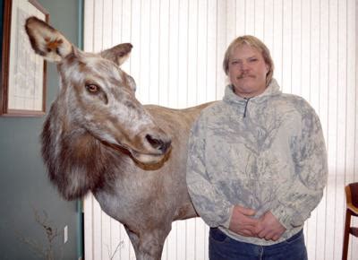 Local hunter harvests rare ‘Piebald’ elk