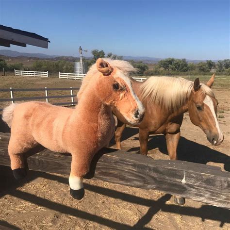 Horse Stuffed Animals - Custom Horse Plush | My Petsies