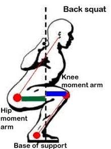 Moment Arms in Exercise: A Brief Introduction to the Physics of Movement