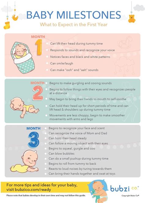 An Amazing First Year: A Monthly Chart of Baby’s Important Milestones | Baby milestone chart ...