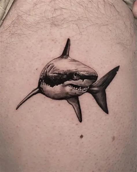 Aggregate 77+ realistic great white shark tattoo - in.cdgdbentre