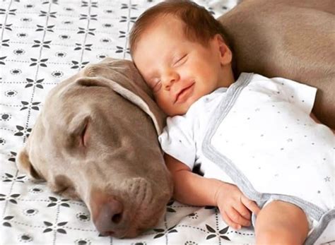 Adorably Funny Photos Of Babies Sleeping