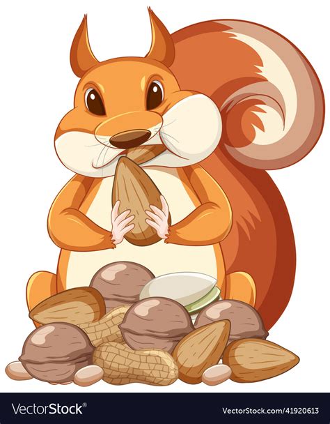 Cute cartoon squirrel eating peanuts on white Vector Image