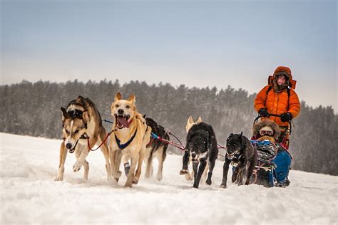 Boundary Waters Winter Adventure | Explore Minnesota