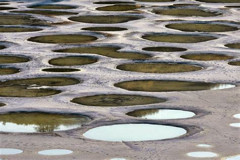 The Spotted Lake of Osoyoos ~ Kuriositas