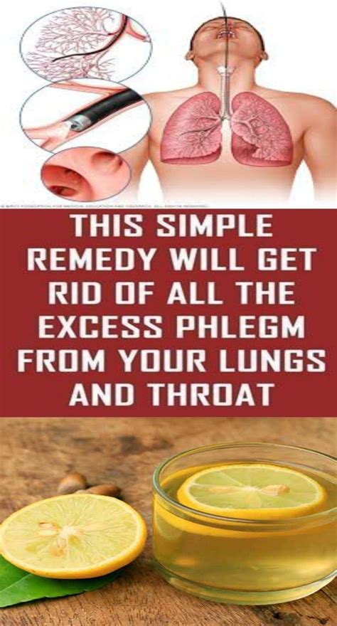 THIS SIMPLE REMEDY WILL GET RID OF ALL THE EXCESS PHLEGM FROM YOUR LUNGS AND THROAT | Fitness Ca ...