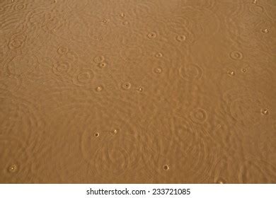 14,830 Muddy Water Texture Images, Stock Photos & Vectors | Shutterstock