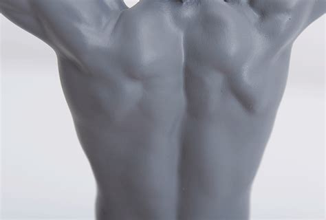 3D printed anatomy in motion | Human anatomy, Animated anatomy, Man anatomy