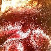 Amazon.com : Garnier Nutrisse Ultra Color Nourishing Hair Color Creme, DN1 Light Cool Denim ...