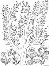 Adult Cute Tree With Leaves And Pears Olivier Coloring page Printable sketch template