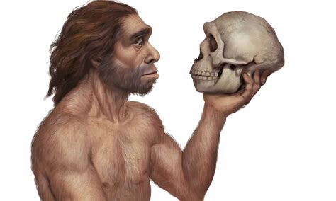 When Did Neanderthals Go Extinct? - A-Z Animals