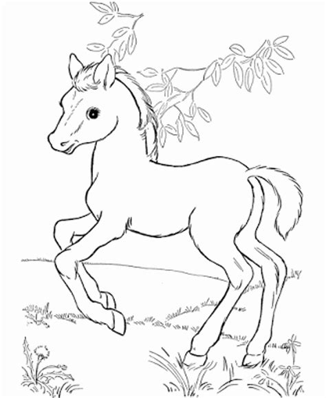 Pretty Horse Coloring Pages at GetColorings.com | Free printable ...