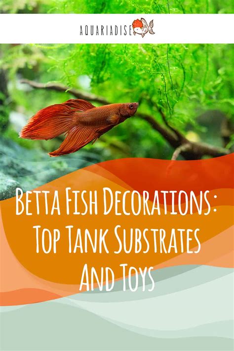 Transform Your Betta's World: The Best Substrates and Toys for a ...