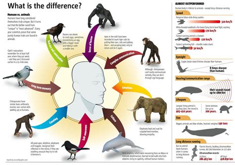 Similarities Between Humans and Animals - KnowsWhy.com