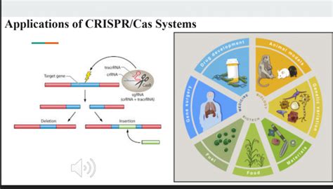 CRISPR Gene Editing: Changing the Future of Science | Harward Center ...