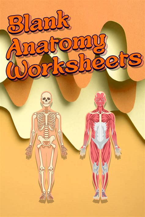 Anatomy Blank Worksheets