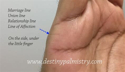 Relationship Lines in Palm Reading - Destiny Palmistry