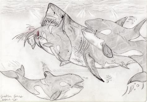 Megalodon Vs. Orca Pod by Art-26 on DeviantArt