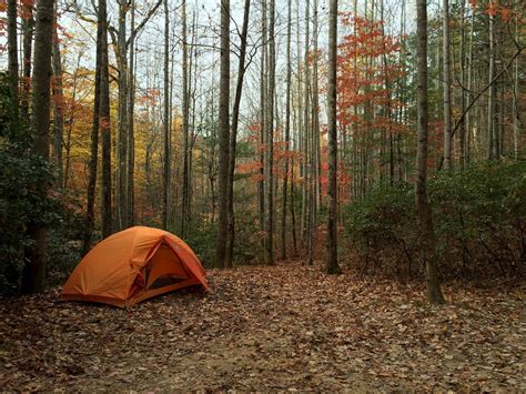 7 Outstanding Campgrounds Around Asheville, North Carolina