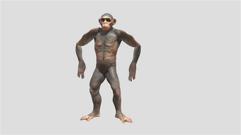 Simio Monkey dancing - Download Free 3D model by pepetrincado [3ba199e] - Sketchfab