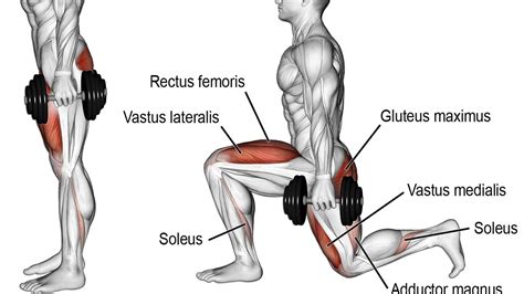 Lunges Exercise Guide: Muscles Worked, Benefits, How-to, and Variations