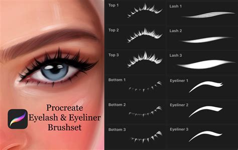 Procreate Eyelash & Eyeliner Stamp Brushes | Procreate brushes free, Digital art tutorial ...