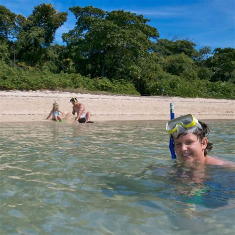 Green Island Snorkelling - Things to do - VisitGreenIsland.com.au